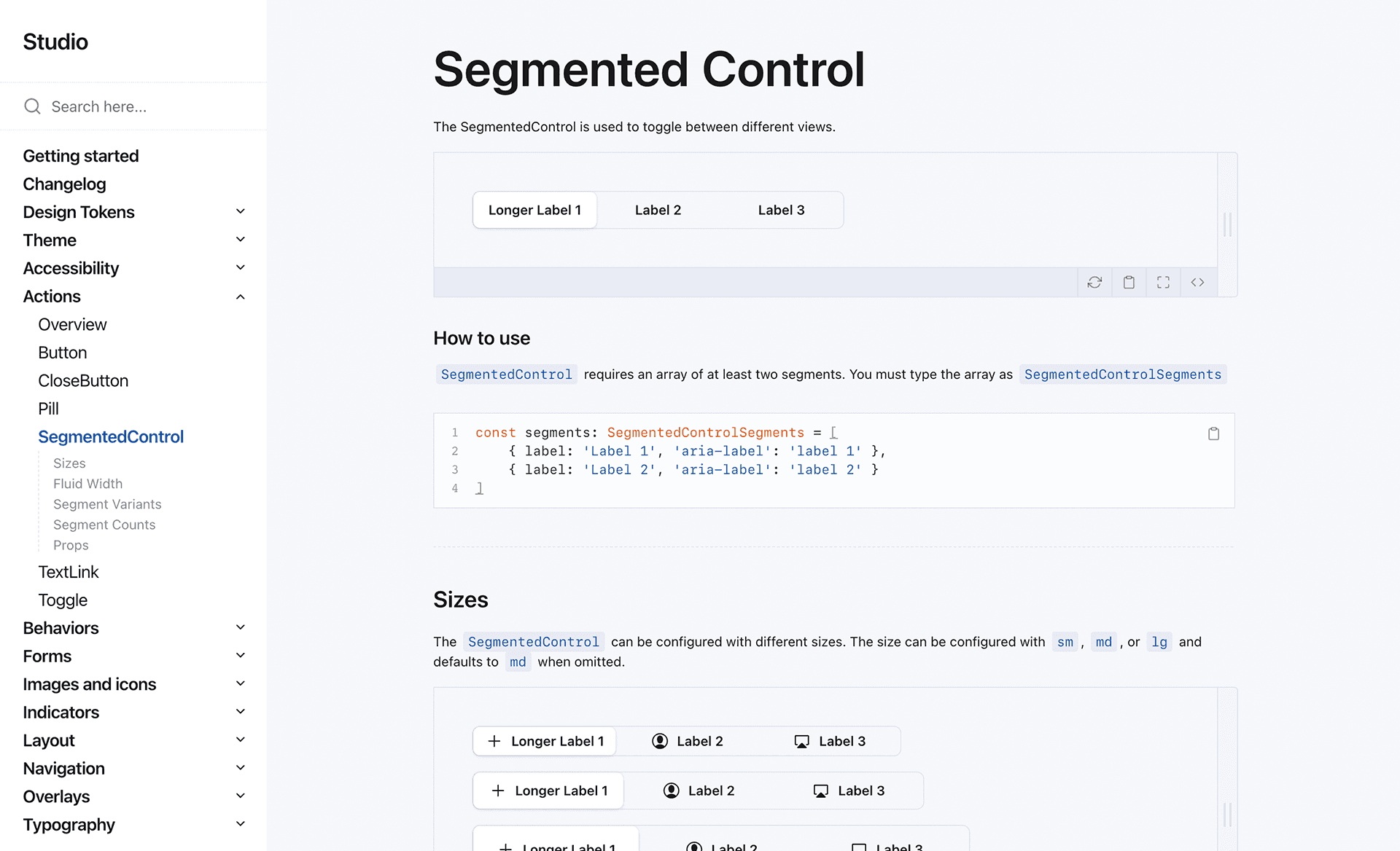 Screenshot of web-based documentation